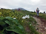 PIZZO ARERA il mattino, concerto del Bepi & The Prismas il pomeriggio al Rifugio Capanna 2000 il 27 luglio 2014- FOTOGALLERY